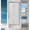 Sanplast D2/TX5b sprchové dvere 100 x 190 cm 600-271-1110-01-401