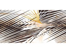 Cerrad CALACATTA GOLD dekor B obklad / dlažba lesklý 60 x 120 cm