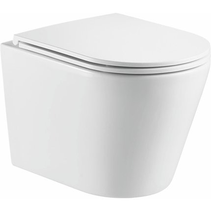 Aquaform OVIEDO STORM WC misa závesná Rimfree 51,5 x 36,5 x 35,5 cm so sedátkom Slim