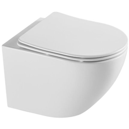 Aquaform SOLLER STORM WC misa závesná Rimfree 52 x 36 x 36 cm so sedátkom Slim