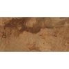 Home BIRCHWOOD BROWN rektifikovaná dlažba matná 60 x 120 cm PD-LO-BW-0001