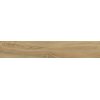 Ceramika Bianca Dreamwood dlažba gres rektifikovaná v imitácii dreva 20 x 120 cm