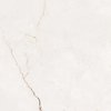 Home Prime Rosalio Bianco rektifikovaná dlažba lesklá 60 x 60 cm PD-CE-RO-0011