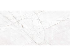 Home Royal Valencia Silver Poler rektifikovaná dlažba lesklá 60 x 120 cm PD-CE-VS-0002