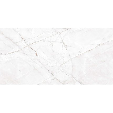 Home Royal Valencia Silver Poler rektifikovaná dlažba lesklá 60 x 120 cm PD-CE-VS-0002