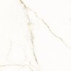 Home SW CALACATTA Gold 120×120 cm – rektifikovaná matná gresová dlažba