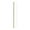 BESCO Eco-N Gold sprchová zástena 90 x 195 cm sklo číre