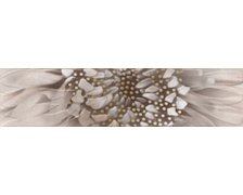 Zebrano gold listela 6x25 cm