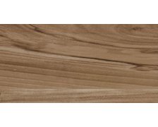 Ceramika Color Emo Wood Brown obklad lesklý rektifikovaný 30 x 60 cm