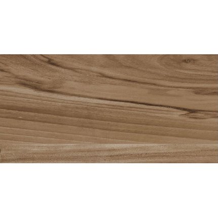 Ceramika Color Emo Wood Brown obklad lesklý rektifikovaný 30 x 60 cm