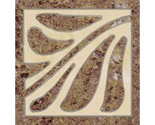 Tonga Hedera rohovník 15x15 cm A