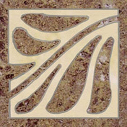Tonga Hedera rohovník 15x15 cm A
