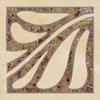 Tonga Hedera rohovník 15x15 cm B