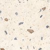 Home Kompas Ivory Chips terazzo dlažba gresová matná 47 x 47 cm