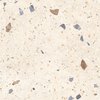 Home Kompas Ivory Chips terazzo dlažba gresová matná 47 x 47 cm