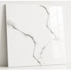Home Atlanta Carrara polished rektifikovaná dlažba lesklá 60 x 60 cm