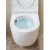 Uptrend CANEO VORTEX WC misa závesná Rimless 49 x 36 x 36 cm so sedátkom TR2196DF