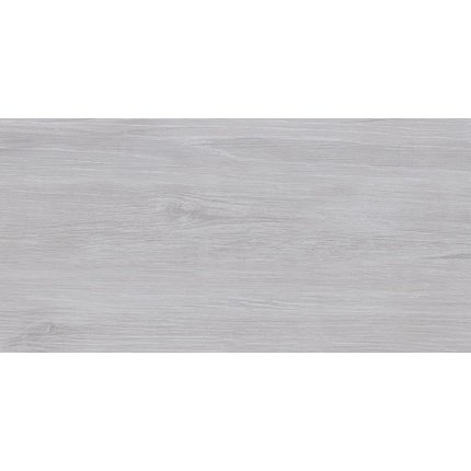 Ceramika Color Lakewood grey obklad lesklý rektifikovaný 30 x 60 cm