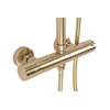 Rea PAROT BRUSH GOLD termostatický sprchový set P2323