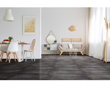 Ceramstic Taler