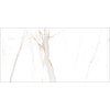 Home Verona Gold rektifikovaná dlažba lesklá 60 x 120 cm PD-ZA-VG-7011