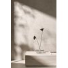 Home NOBILE X BIANCO rektifikovaná dlažba matná 60 x 120 cm PD-PO-AA-0001