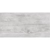 Ceramika Color Max wood grey obklad lesklý rektifikovaný 30 x 60 cm