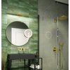 Deante Arnika sprchový set podomietkový, gold NAC_Z9QP
