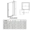 Radaway Torrenta DWJ sprchové dvere 120 x 195 cm