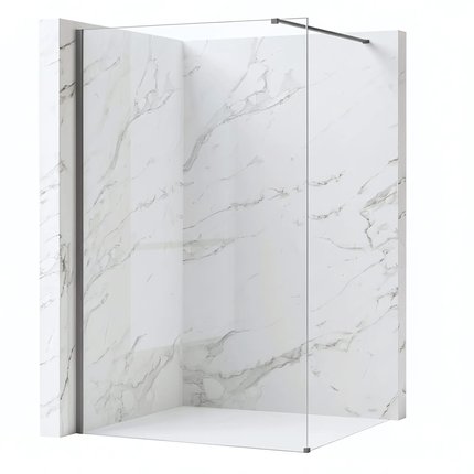 Rea Flexi Transparent / Tytan sprchová zástena 70 x 195 cm sklo číre K9968 + K9956