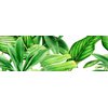 Ceramika Bianca Garden Tropic dekor A lesklý rektifikovaný 25x75 cm