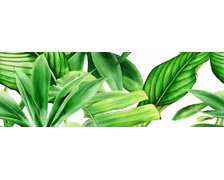 Ceramika Bianca Garden Tropic dekor A lesklý rektifikovaný 25x75 cm