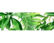 Ceramika Bianca Garden Tropic dekor B lesklý rektifikovaný 25x75 cm