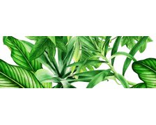 Ceramika Bianca Garden Tropic dekor C lesklý rektifikovaný 25x75 cm