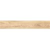 Home Dreamwood Honey  dlažba gres rektifikovaná v imitácii dreva 20 x 120 cm