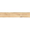 Home Dreamwood Honey  dlažba gres rektifikovaná v imitácii dreva 20 x 120 cm