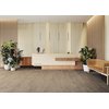 Cerrad Sentimental Wood Brown rektifikovaná schodnica matná 30 x 120 cm