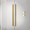 Radaway FURO GOLD DWD sprchové dvere 140 x 200 cm 10108388-09-01+10111342-01-01