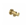 Excellent uhlové podmietkové pripojenie sprchovej hadice s držiakom, gold AREX.1032GL