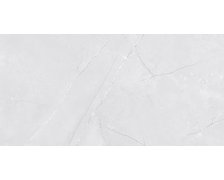 Home VENESSIA Light Grey rektifikovaný obklad matný 30 x 60 cm