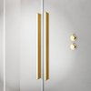 Radaway FURO GOLD DWD sprchové dvere 160 x 200 cm 10108438-09-01+10111392-01-01