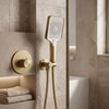 Rea BRUSH GOLD JS-031 sprchová ružica REA-03905