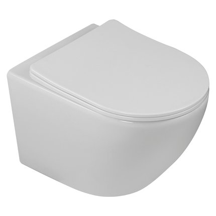 Laveo DESNA CYCLEON WC misa závesná Rimless 48,5 x 37 x 32 cm s voľne padajúcim sedátkom VMD_609S