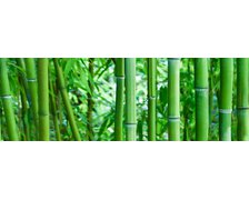 Ceramika Konskie Bamboo glass inserto obklad lesklý, rektifikovaný 2 x 25 x 75 cm