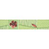 Majorka Zefir Lista 25x5