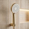 Rea BRUSH GOLD JS-019 sprchová ružica REA-07057
