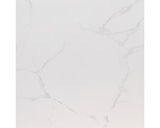 Home Carrara White rektifikovaná dlažba lesklá 60 x 60 cm 14364