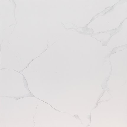 Home Carrara White rektifikovaná dlažba lesklá 60 x 60 cm 14364