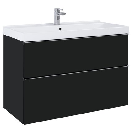 Kúpeľňová skrinka LOOK 2S pod umývadlo alebo dosku 100 x 44,9 cm RE011000027160