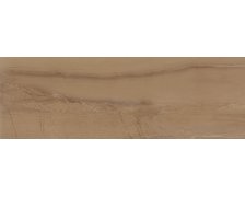 Ceramika Color Terra brown lesklý obklad rektifikovaný 25 x 75 cm